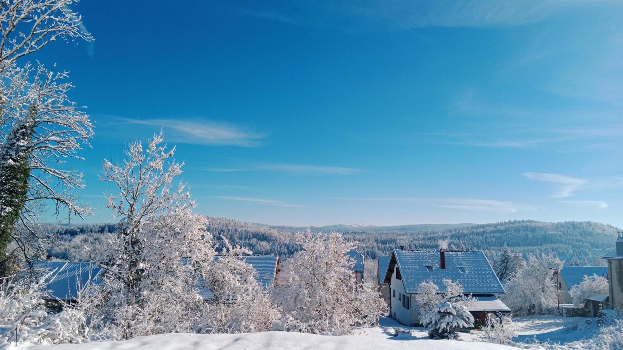 Gite Des Roches La Chaux-du-Dombief Esterno foto